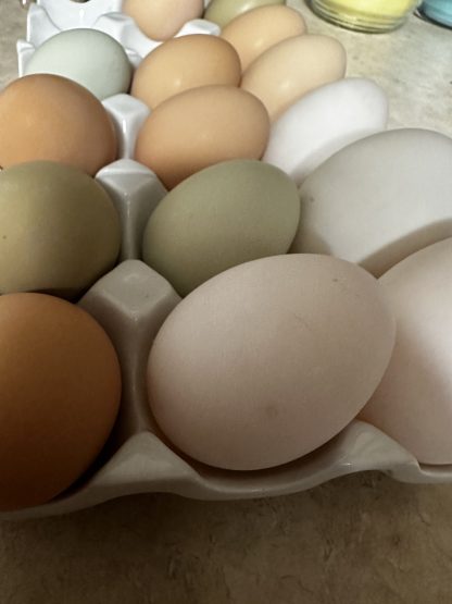Farm Fresh Eggs - Image 3