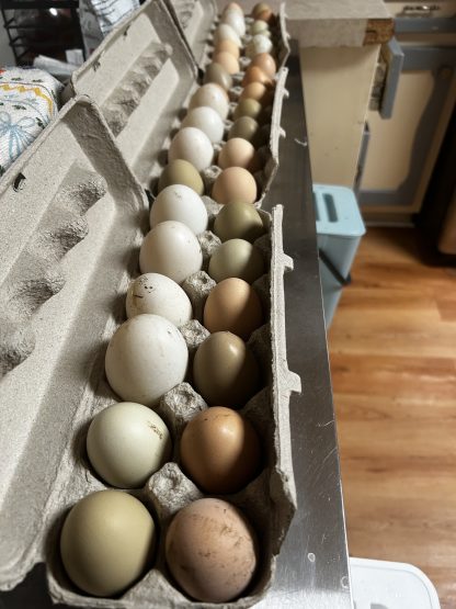 Farm Fresh Eggs - Image 2