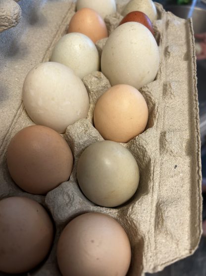 Farm Fresh Eggs - Image 4