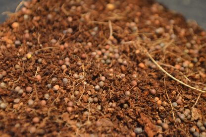 Broccoli Microgreens Kit - Image 5