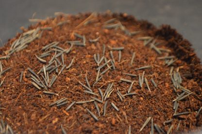 Microgreen Seeds - Image 5