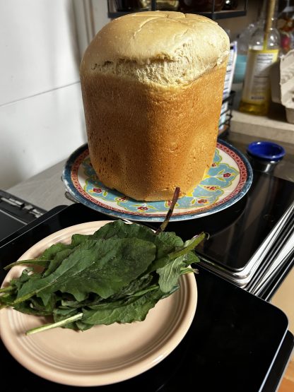 Bread - Image 5