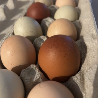 Farm Fresh Eggs