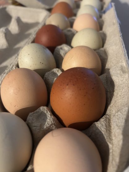 Farm Fresh Eggs